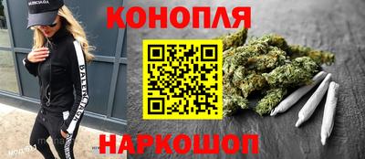 индика Рузаевка
