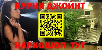 индика Рузаевка