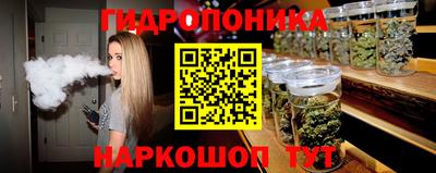 индика Рузаевка