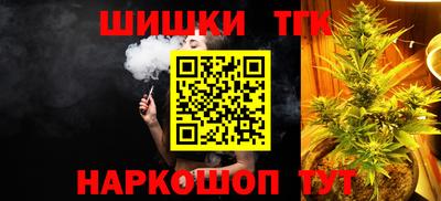 индика Рузаевка