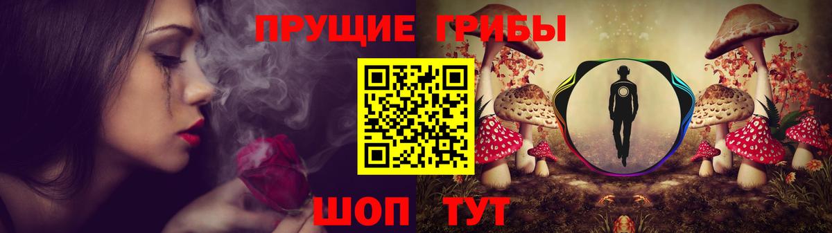 Надым  магазин продажи наркотиков  Вход с VPN  Псилоцибиновые грибы GOLDEN TEACHER 