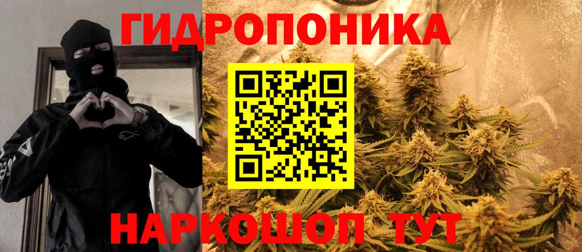 МАРИХУАНА планчик Надым